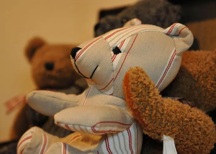 奥伯格火车站酒店 3*