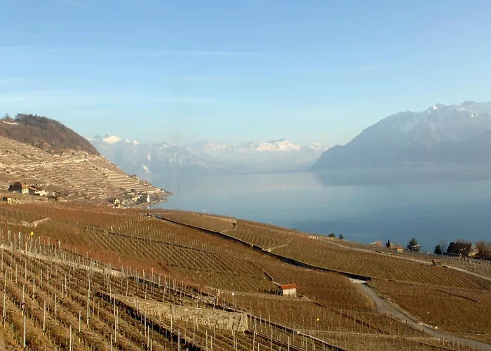 Inn De La Gare Grandvaux